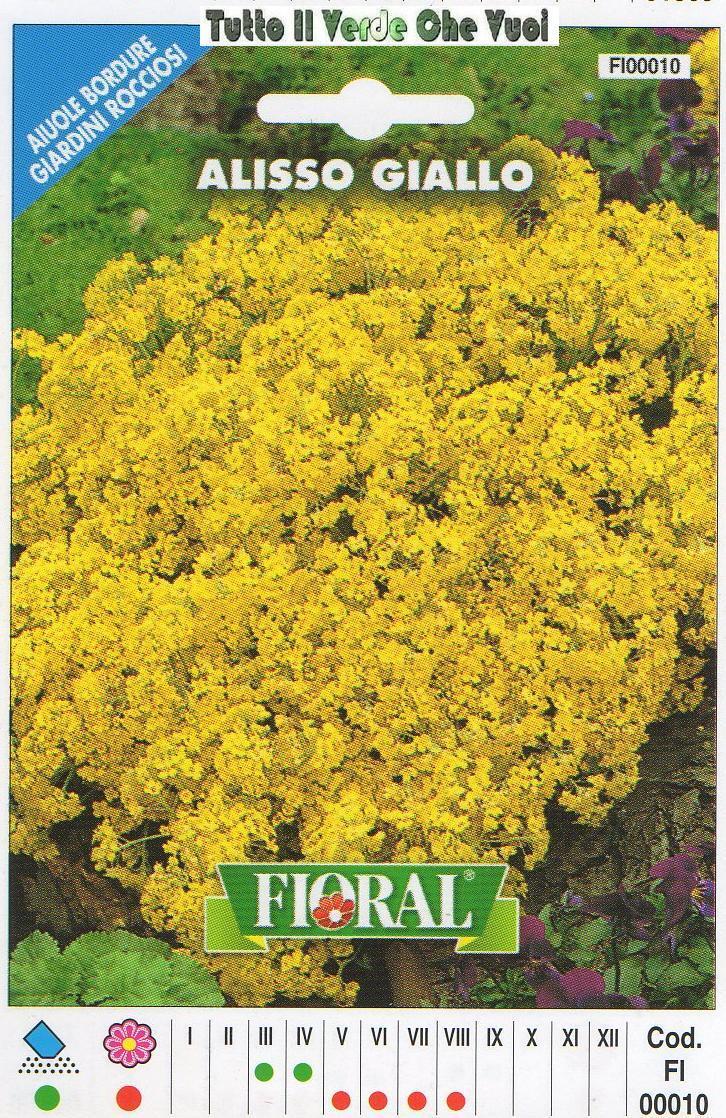 ALISSO GIALLO - AIUOLE BORDURE ROCCIOSI-FLORAL - BUSTA SEMENTI