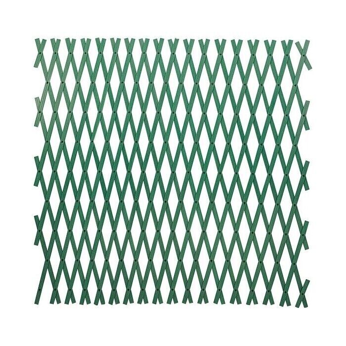 Traliccio Estensibile in Pvc colore Verde 2X1 Mt tipo rinforzato