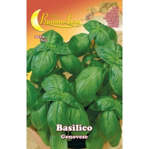 Hortus Buona Luna 3 gr semi di basilico genovese seminare orto giardino