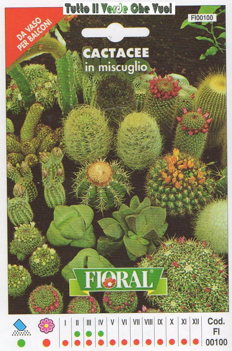 CACTACEE IN MISCUGLIO - DA VASO PER BALCONI-FLORAL - BUSTA SEMENTI