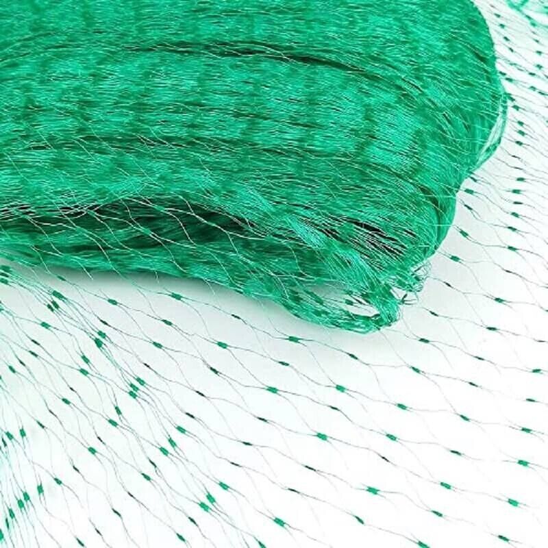 Rete per Uccelli verde in plastica protezione giardino orto 2x10 metri