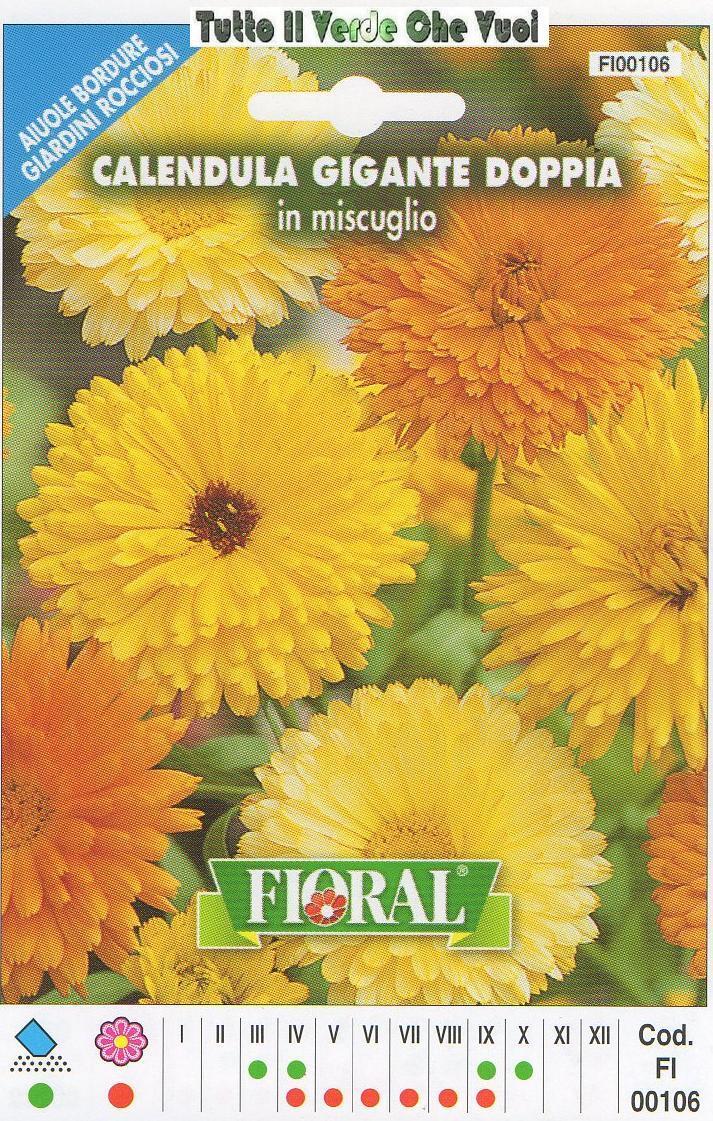 CALENDULA GIGANTE DOPPIA - AIUOLE BORDURE ROCCIOSI-FLORAL - BUSTA SEMENTI