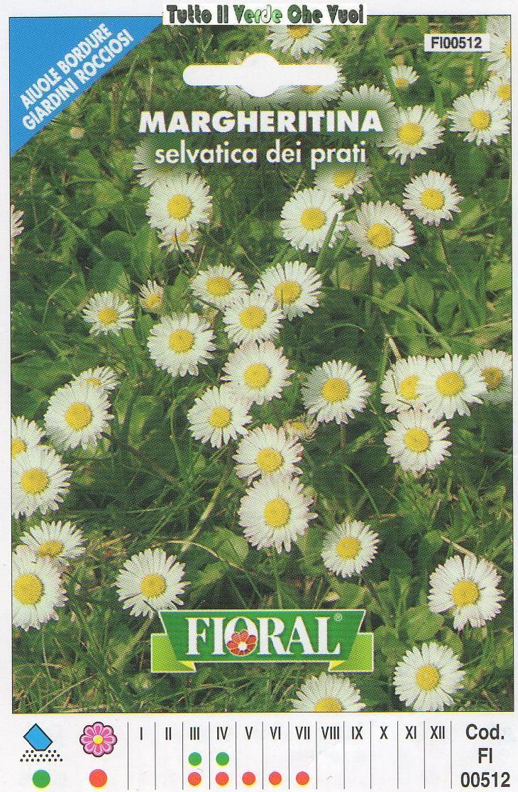 MARGHERITINA SELVATICA DEI PRATI- AIUOLE BORDURE ROCCIOSI-FLORAL - BUSTA SEMENTI