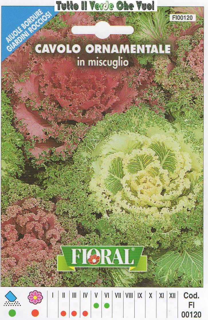 CAVOLO ORNAMENTALE - AIUOLE BORDURE ROCCIOSI-FLORAL - BUSTA SEMENTI