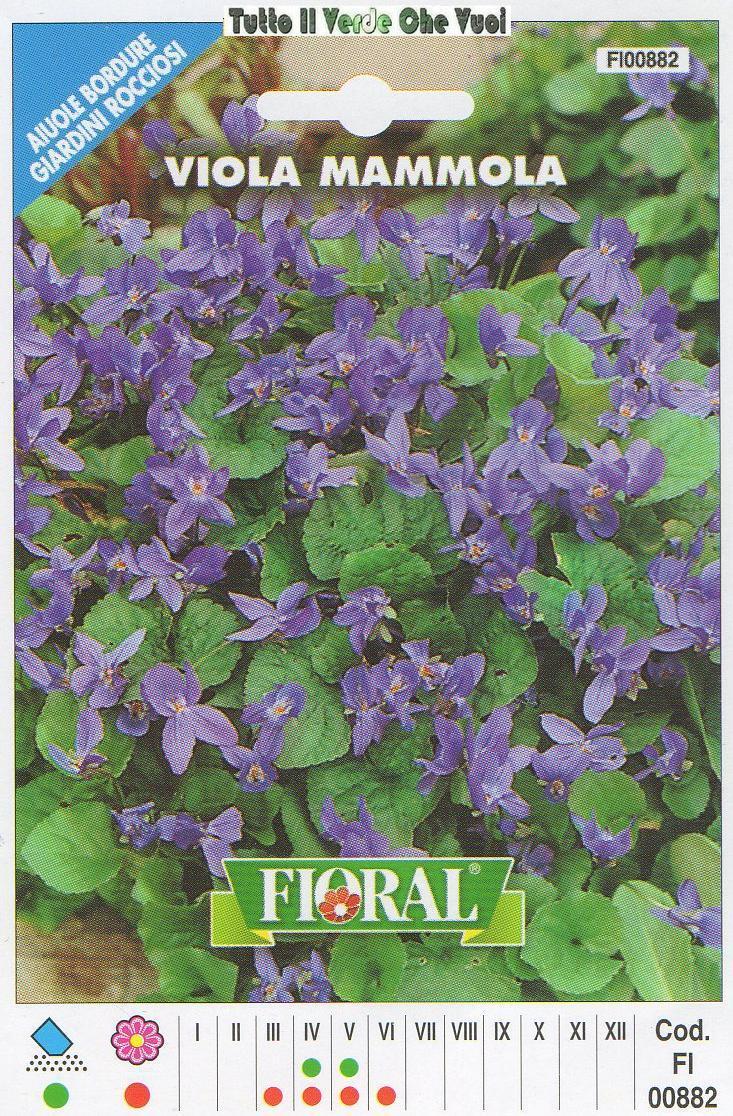 VIOLA MAMMOLA - AIUOLE BORDURE GIARDINI ROCCIOSI-FLORAL - BUSTA SEMENTI