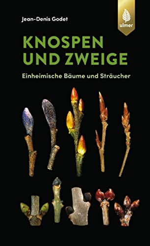 Knospen Und Zweige: Einheimische Bäume Und Sträucher
