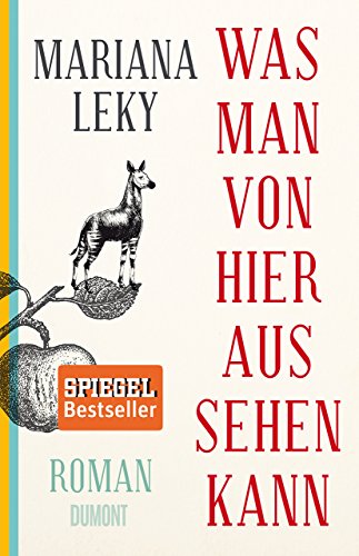 Was Man Von Hier Aus Sehen Kann: Roman