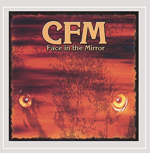 Face In The Mirror
