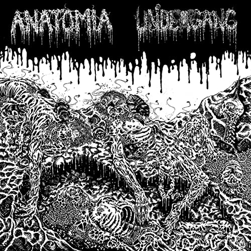 Split Lp