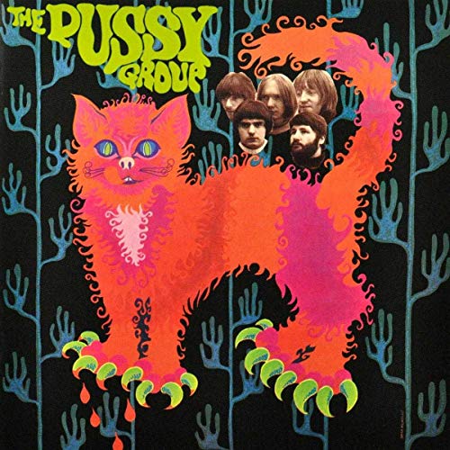 Pussy Plays Fortes Mentum