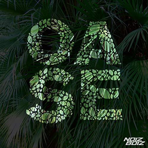 Oase -Digi-