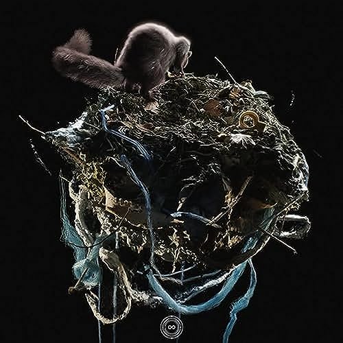 Infinite Mac Dorian Concept-What We Do For Others Lp+