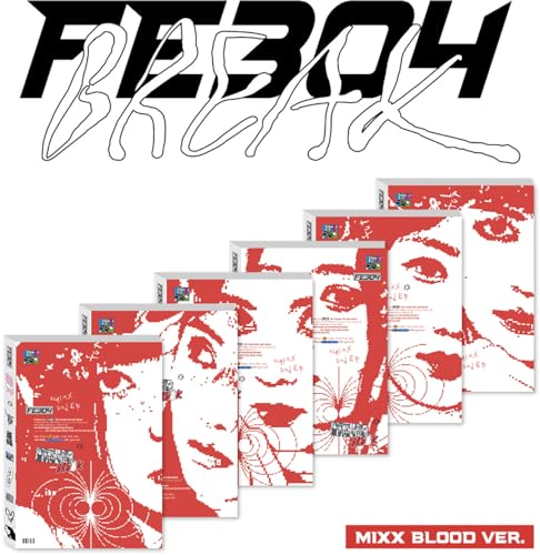 Fe3O4: Break