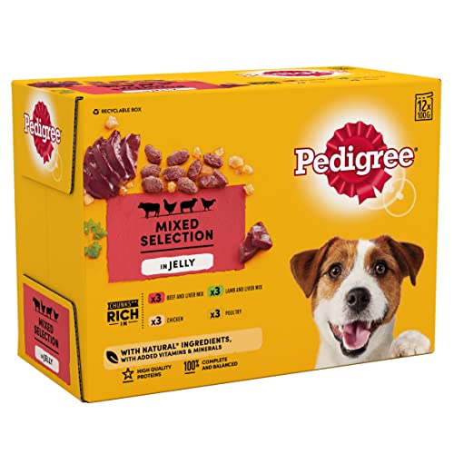 Pedigree Wet Dog Food For Adult Dogs Pouches Mixed Selection In Jelly, 12 Pouches (12 X 100G)