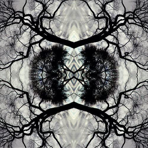 Adam Rudolph Sonic Mandala Go: Organic Orchestra (CD)