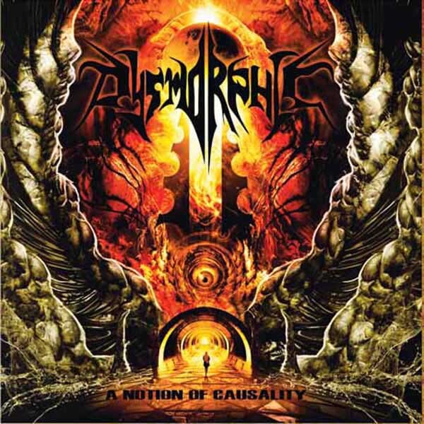 7024789 Audio Cd Dysmorphic - A Notion Of Causality