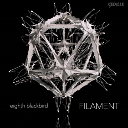 Bryce Dessner Filament (CD) Album