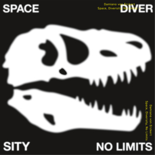 Damiano Von Erckert Space, Diversity, No Limits (Vinyl LP) 12" EP