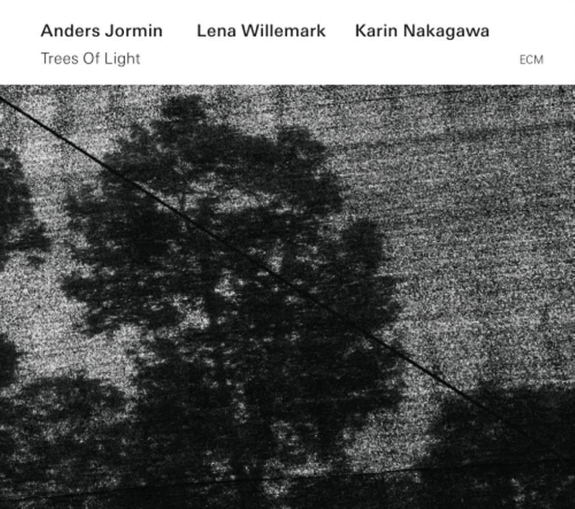 Trees Of Light - Anders Jormin (Audio cd)