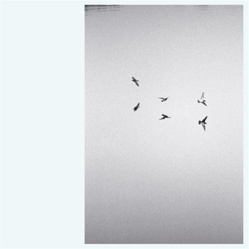 Landscapes - Kirk Barley (Vinile)