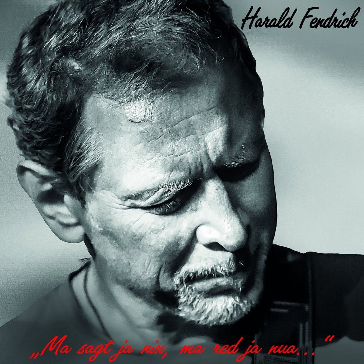 Fendrich, Harald Ma Sagt Ja Nix,Ma Red Ja Nua... (CD)
