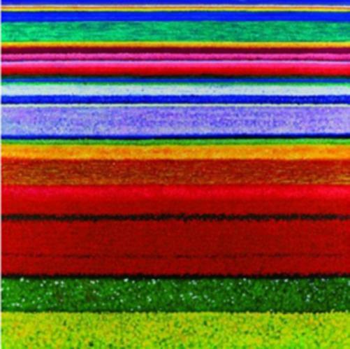 City and Colour Little Hell (CD) Album