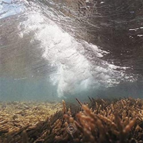 Pulchra Es Elemntis - Galtier (Vinile)