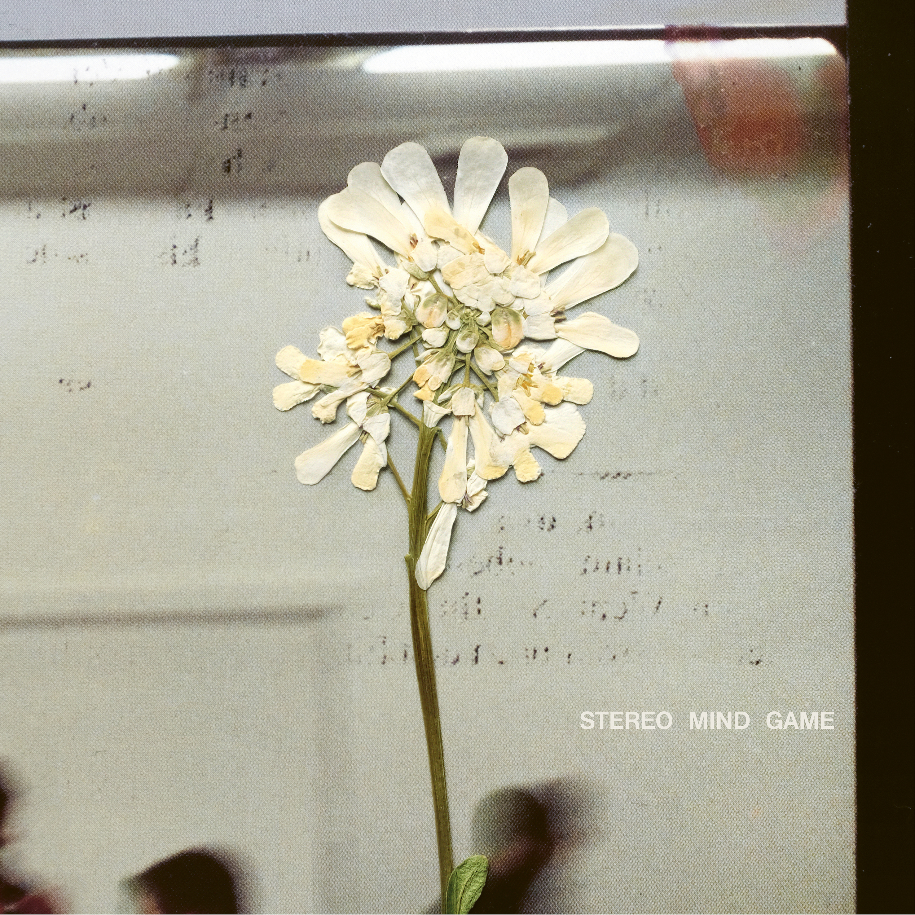 Daughter Stereo Mind Game (CD) Album