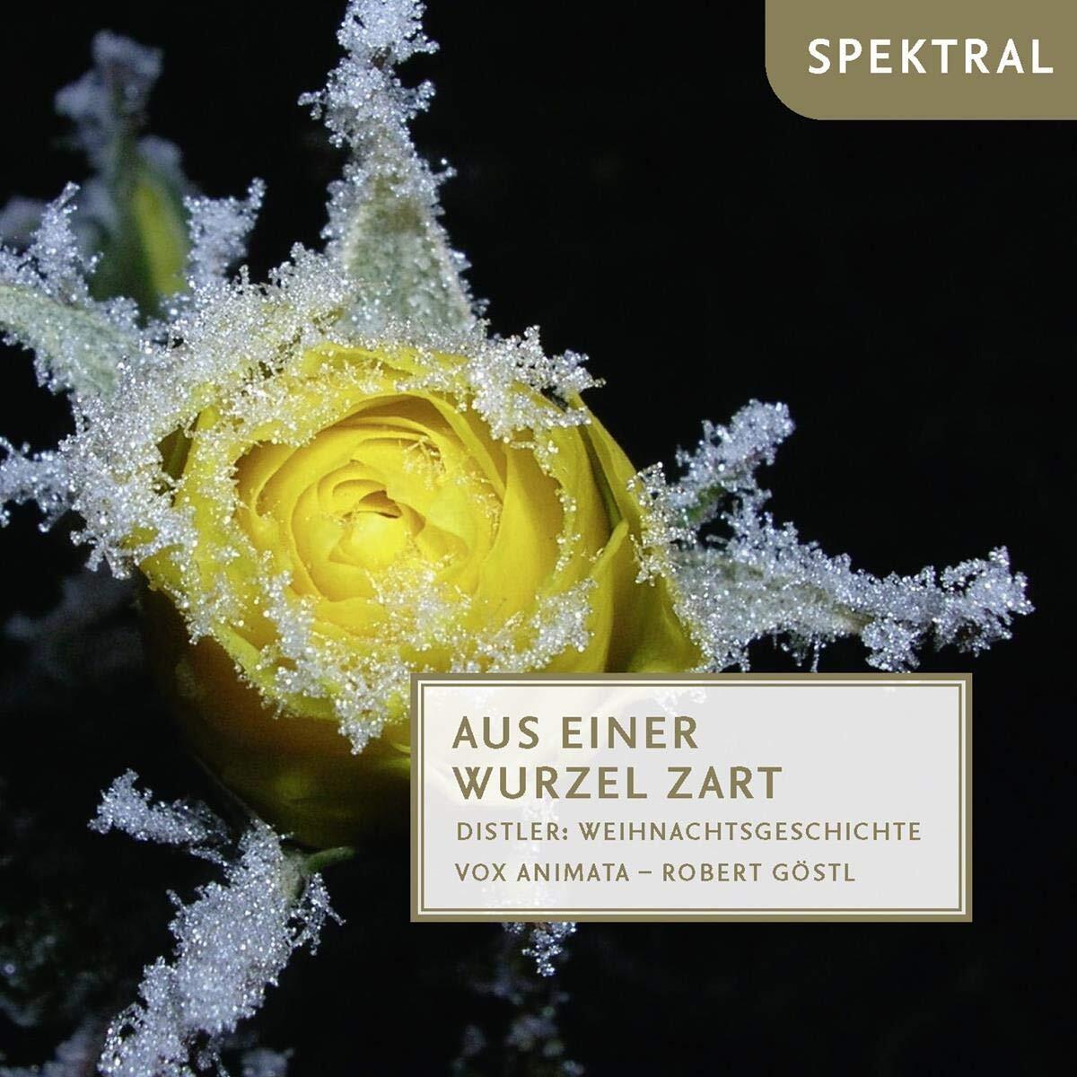 Vox Animata Distler: Aus Einer Wurzel Zart - Weihnachtsgeschichte (CD)