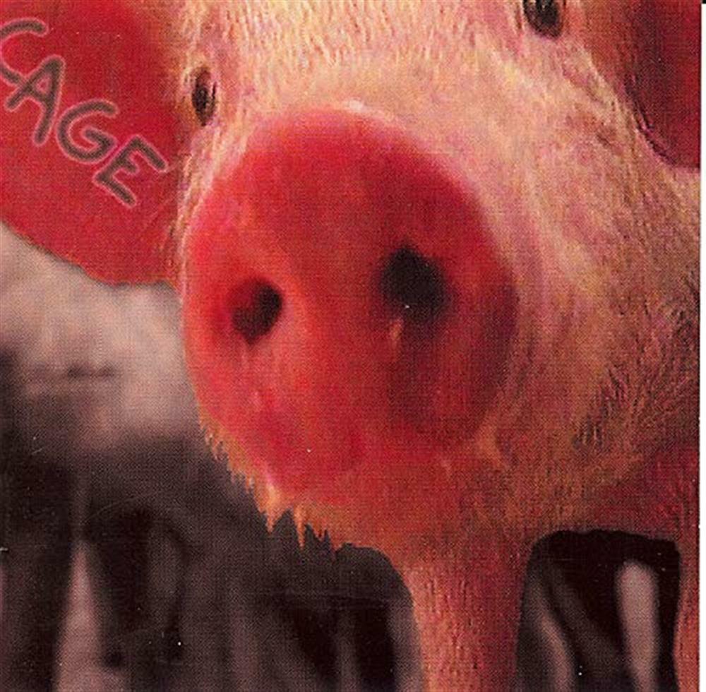 Cage - Cage (7) (Audio Cd)