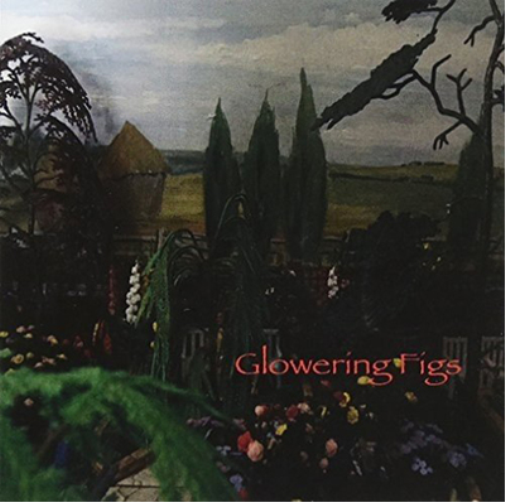 Glowering Figs Glowering Figs (CD) Album