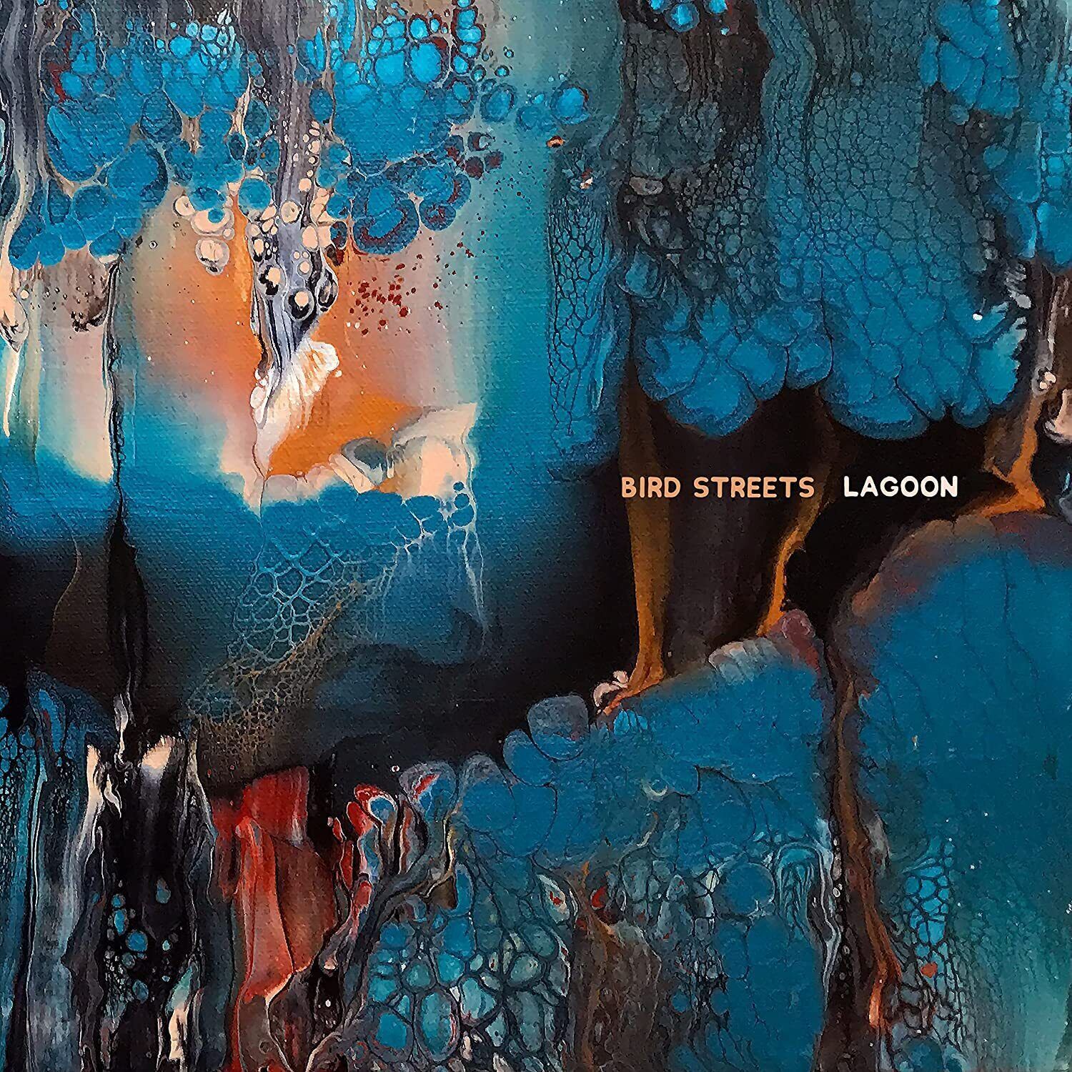 Bird Streets Lagoons (Vinyl LP) 12" Album