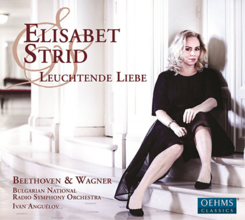 Elisabet Strid Elisabet Strid: Leuchtende Liebe (CD) Album