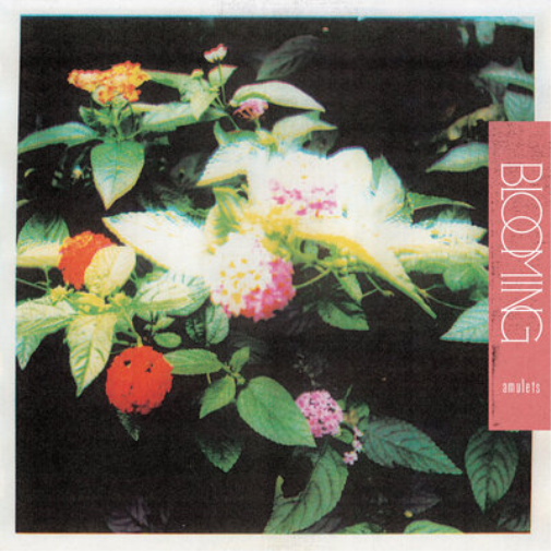 Amulets Blooming (Vinyl LP) 12" Album