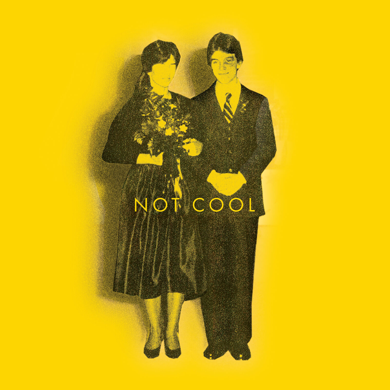 Tim Easton Not Cool (Vinyl LP) 12" Album
