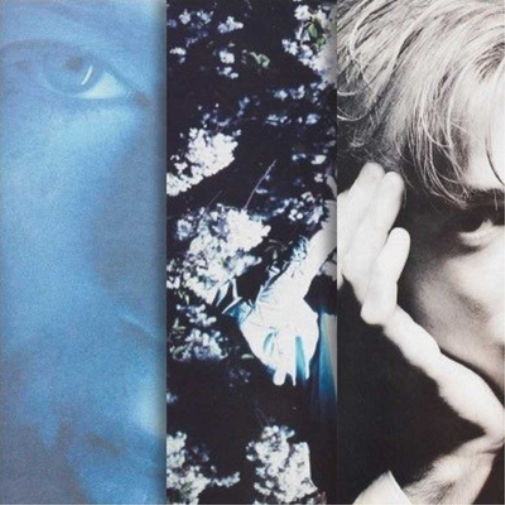 Momus Create I - Procreate (CD) Box Set