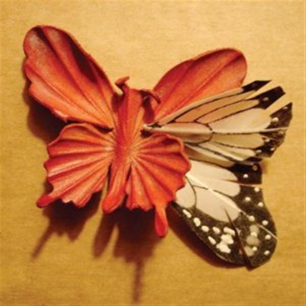 We Made This Ourselves - Essie Jain (Audio CD)