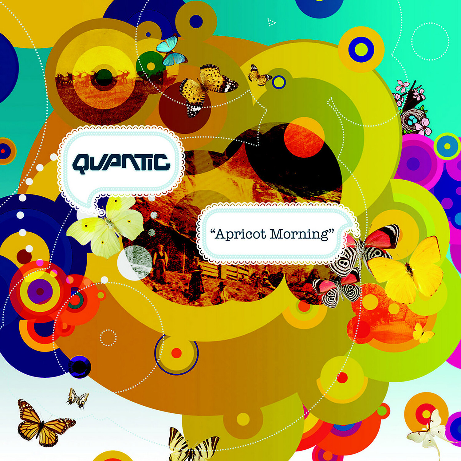 Quantic Apricot Morning (Vinyl LP) 12" Album