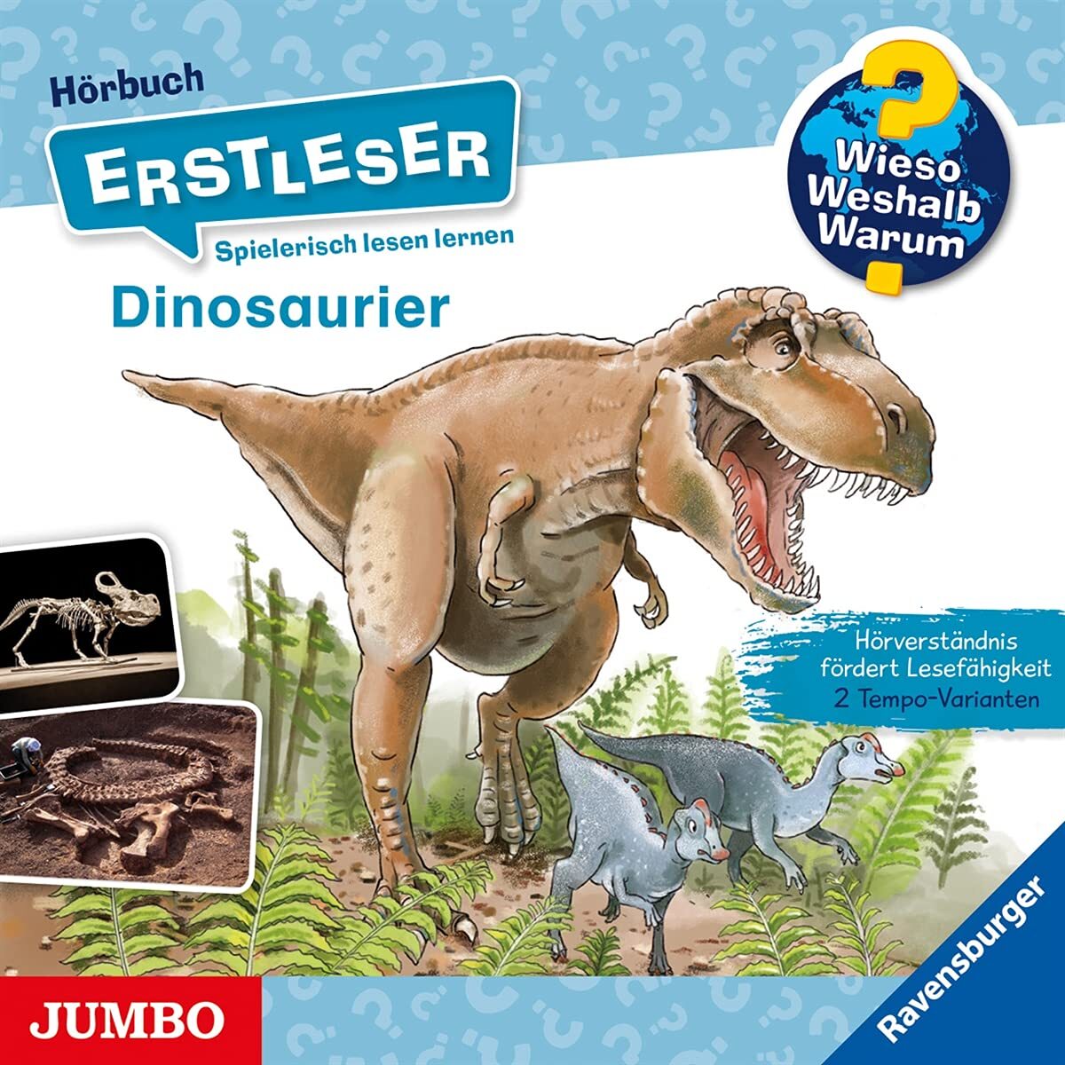 Von Kessel,Carola Wieso? Weshalb? Warum? Erstleser-Dinosaurier Fol (CD)