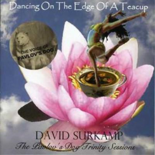 David Surkamp Dancing On the Edge of a Teacup (CD) Album