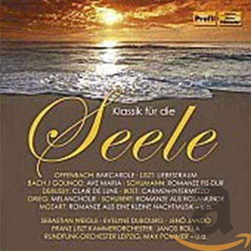 Various Klassik Für die Seele (CD)