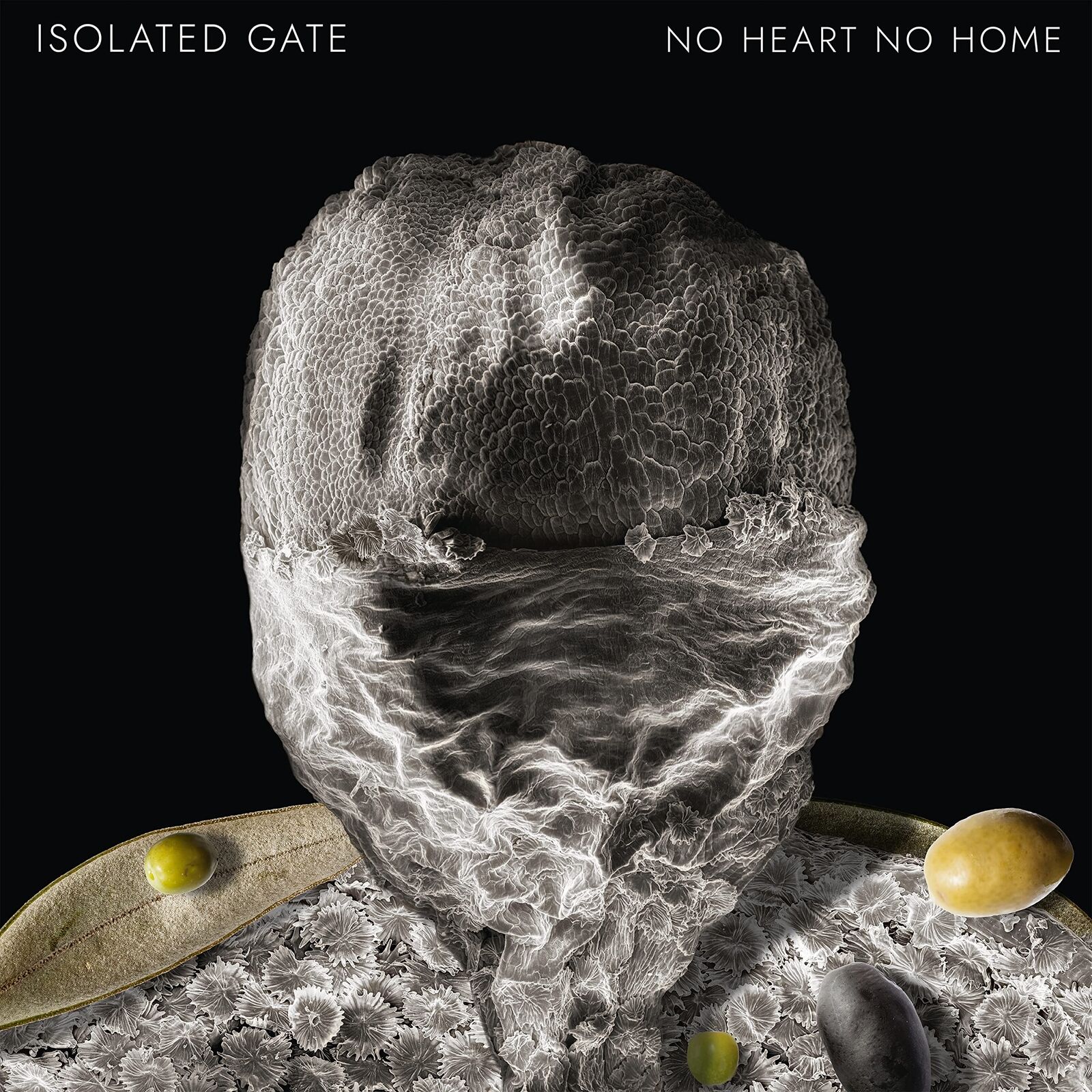 Isolated Gate No Heart No Home (Vinyl LP)