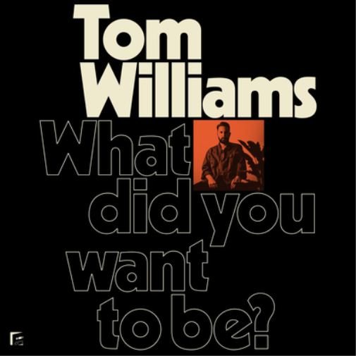 Tom Williams What Did You Want To Be? (CD)