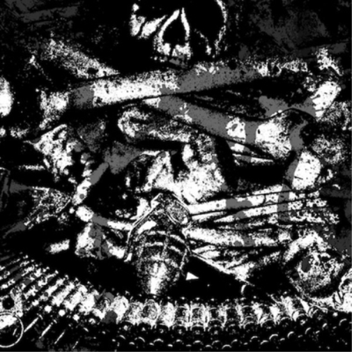 Deiphago/Ampütator Split (Vinyl LP) 12" Album