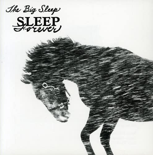 Big Sleep Sleep Forever (CD)