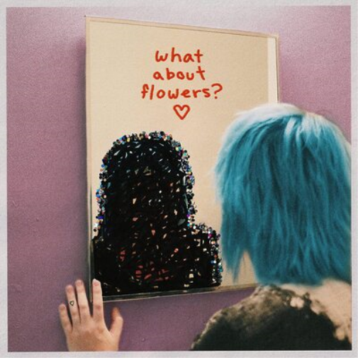 Snarls What About Flowers? (CD) Album