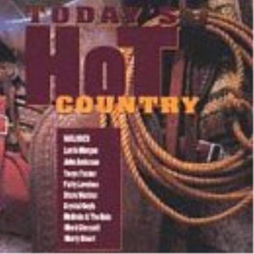 Various Artists Today's Hot Country (CD)