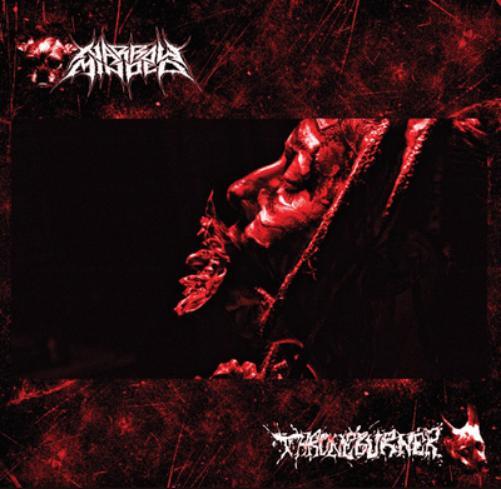 Narrow Minded x Throneburner Narrow Minded X Throneburner 'Split' (Vinyl LP)