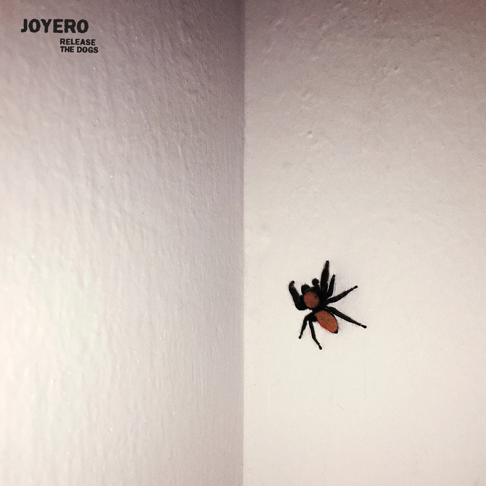 Joyero Release the Dogs (Vinyl LP) 12" Album Coloured Vinyl with 7" Single