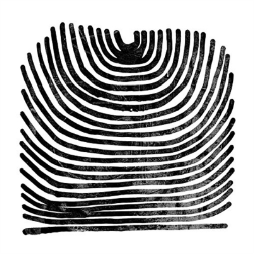 Rival Consoles Howl (CD) Album